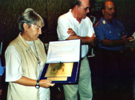 maccari